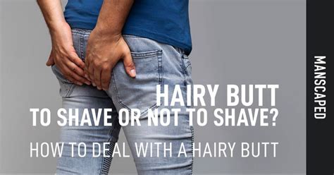 men's hairy butts|The Pubic Hair Guide for Men.